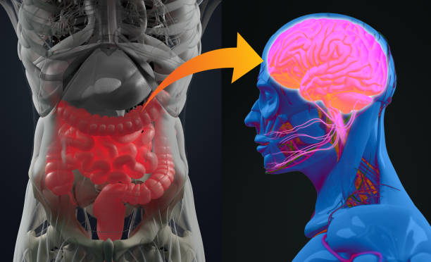 Santé mentale et microbiote intestinal